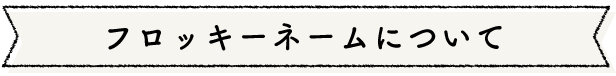 フロッキーネームについて