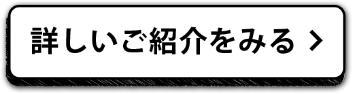 詳しいご紹介をみる